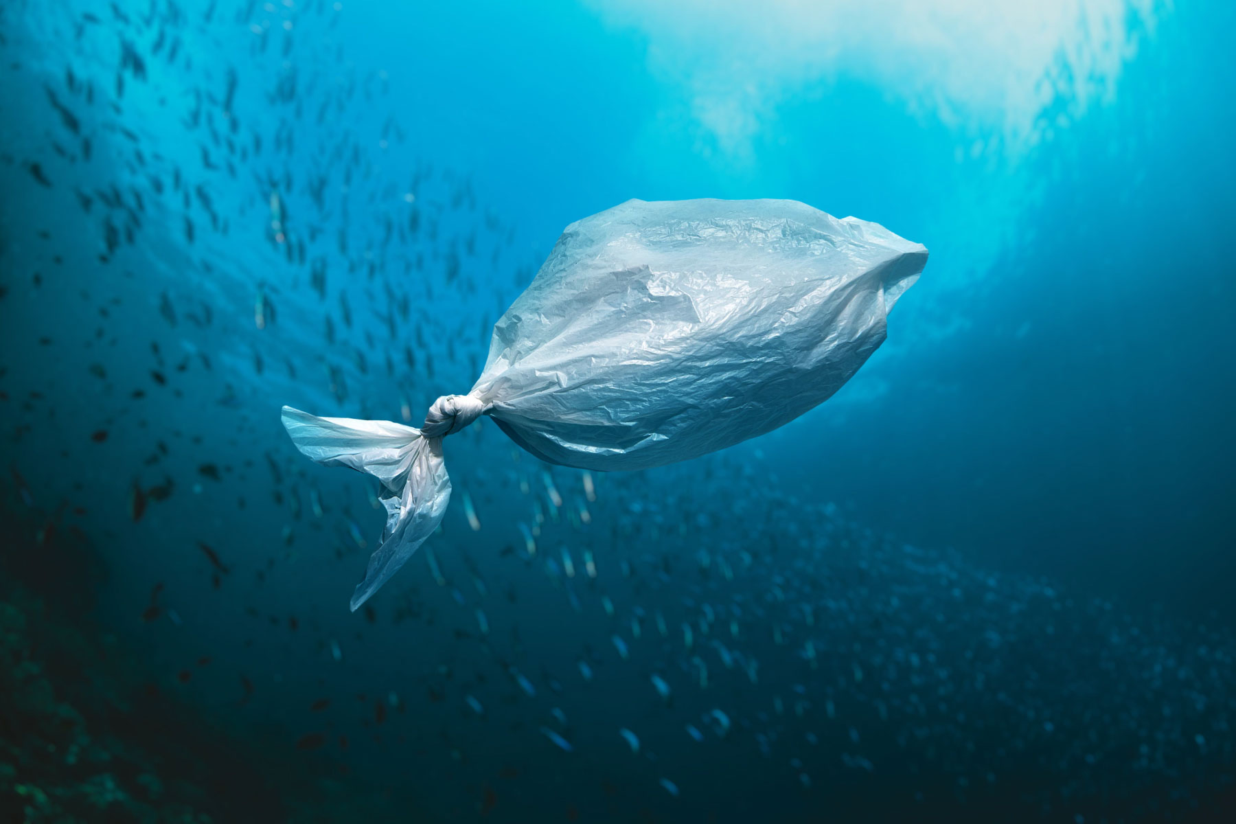 Stop alla plastica monouso: come proteggere oceani e salute
